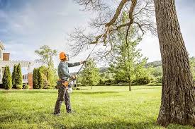 Best Tree Health Inspection  in Mira Monte, CA